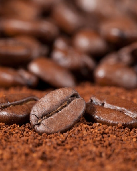 Café en grain de Brésil Santos - Le Petit Moulu