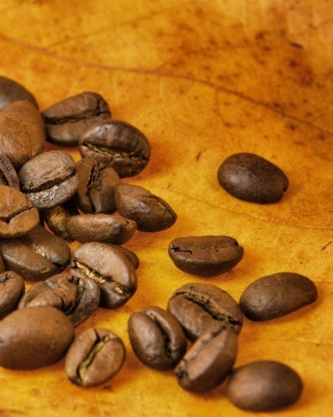 Café en grain Moka Sidama Bio d'Éthiopie - Le Petit Moulu