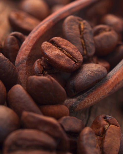 Café en grain Moka Harrar d'Éthiopie - Le Petit Moulu