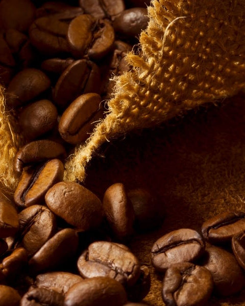 Café en grain Java d'Indonésie - Le Petit Moulu