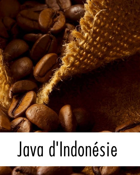 Café en grain Java d'Indonésie - Le Petit Moulu  (with lable)