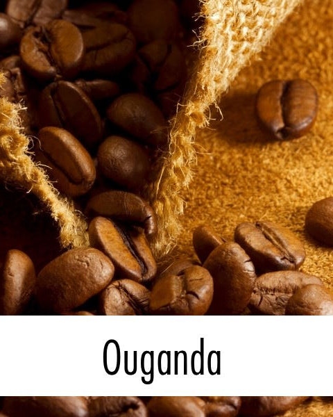 Café en grain d'Ouganda - Le Petit Moulu  (with lable)